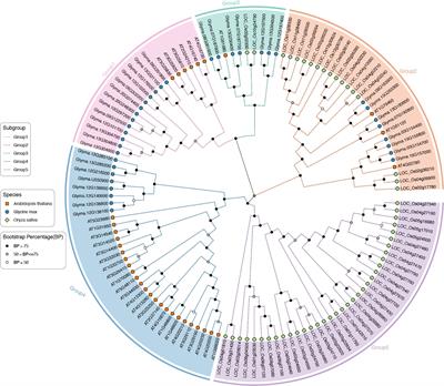 Genome-wide identification and tissue expression pattern analysis of TPS gene family in soybean (Glycine max)